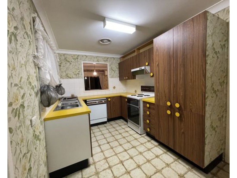 17 Saville Street, Eight Mile Plains QLD 4113