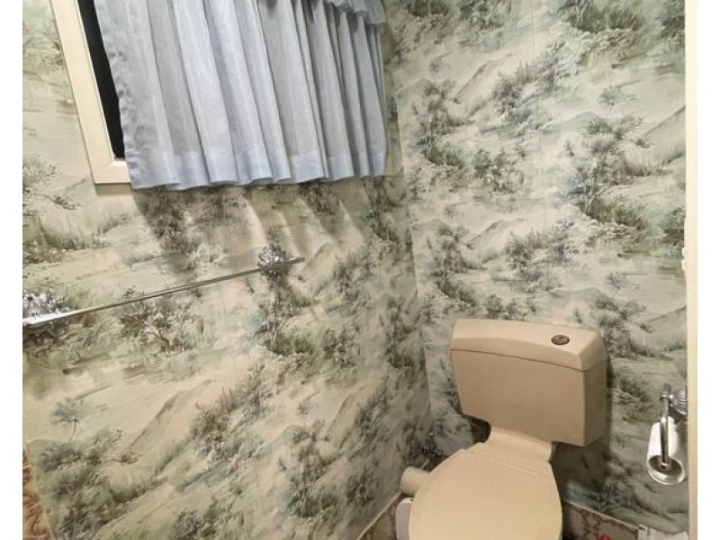 17 Saville Street, Eight Mile Plains QLD 4113