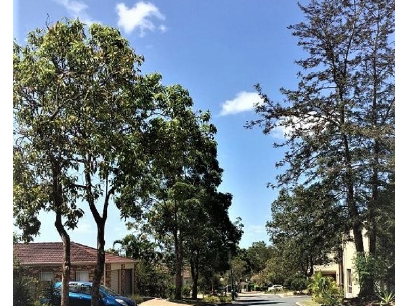 115 Gumtree street, Runcorn QLD 4113