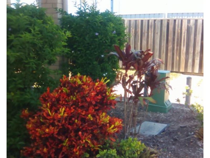 Unit 17 439 Elizabeth Avenue, Kippa-ring QLD 4021