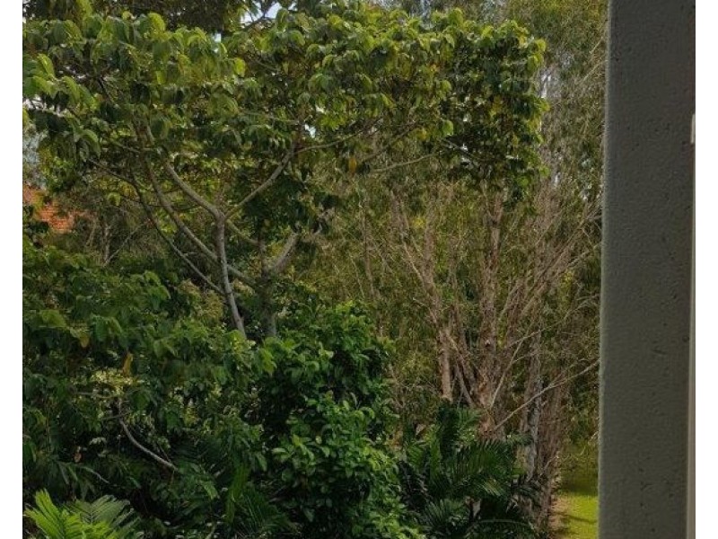 1608 40 Clifton Road, Clifton Beach QLD 4879