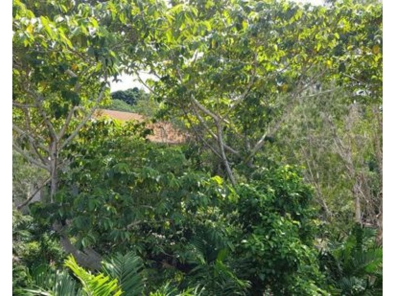 1608 40 Clifton Road, Clifton Beach QLD 4879