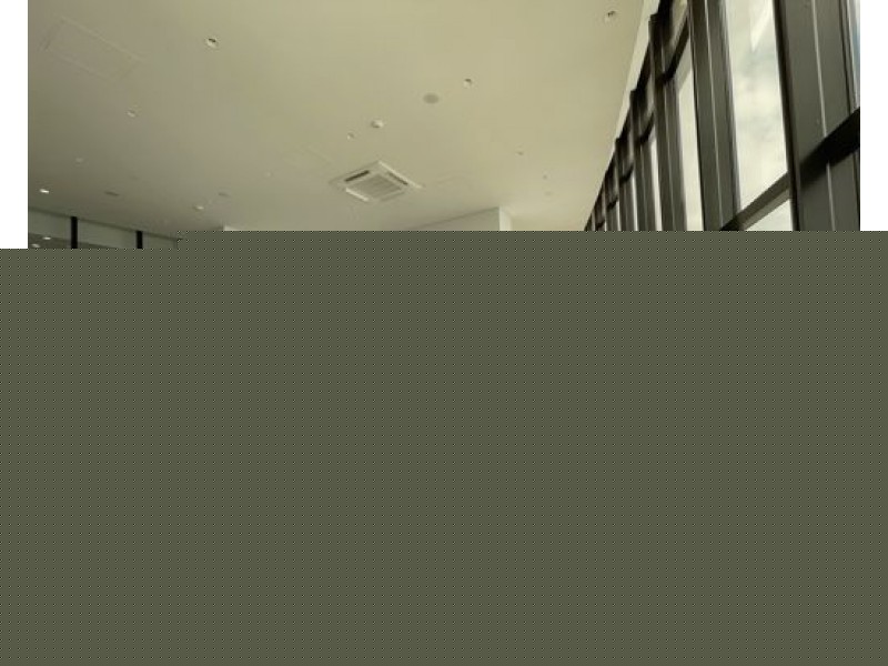 4810/84 The Esplanade, Surfers Paradise, Surfers Paradise QLD 4217