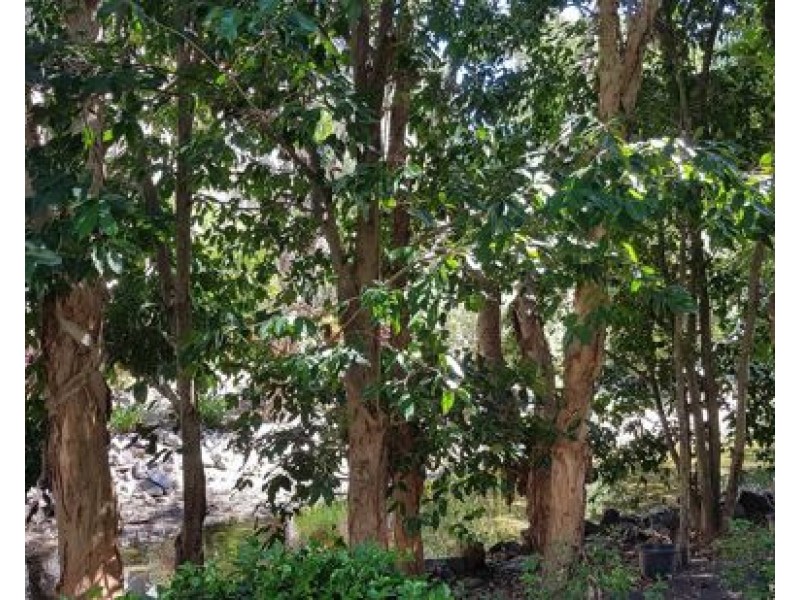Block 18 40 Clifton Road, Clifton Beach QLD 4879