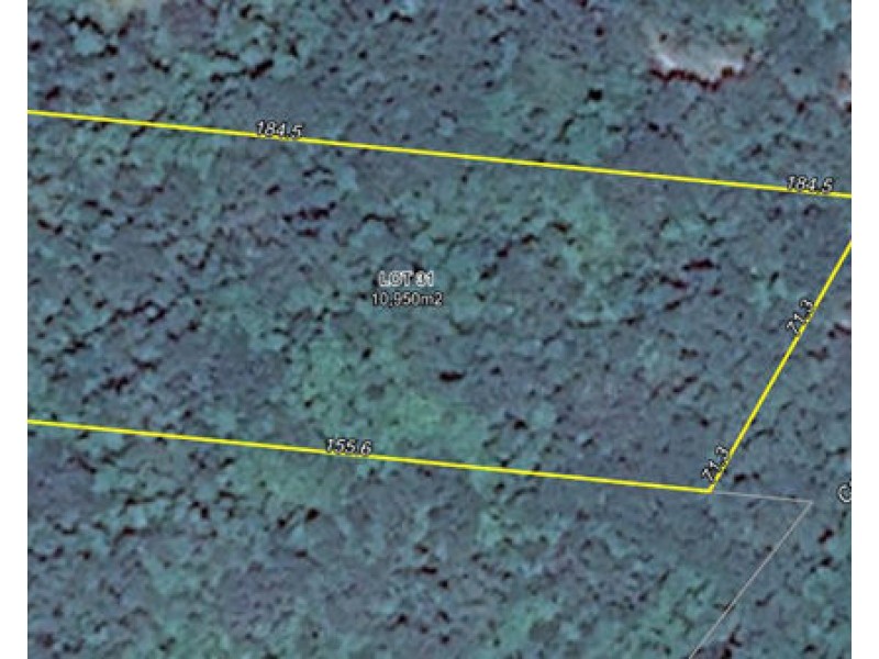 Lot 31 Cape Tribulation Road, Cape Tribulation QLD 4873