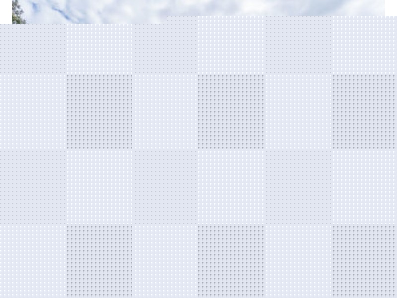 19 Melastoma Way, Arundel QLD 4214