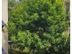 1003 40 Clifton Road, Clifton Beach QLD 4879