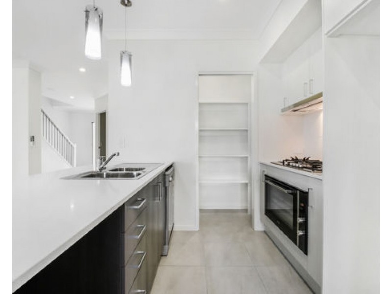 58 Flametree CCT, Arundel QLD 4214