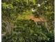 Block 16 40 Clifton Road, Clifton Beach QLD 4879