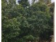 1106 40 Clifton Road, Clifton Beach QLD 4879