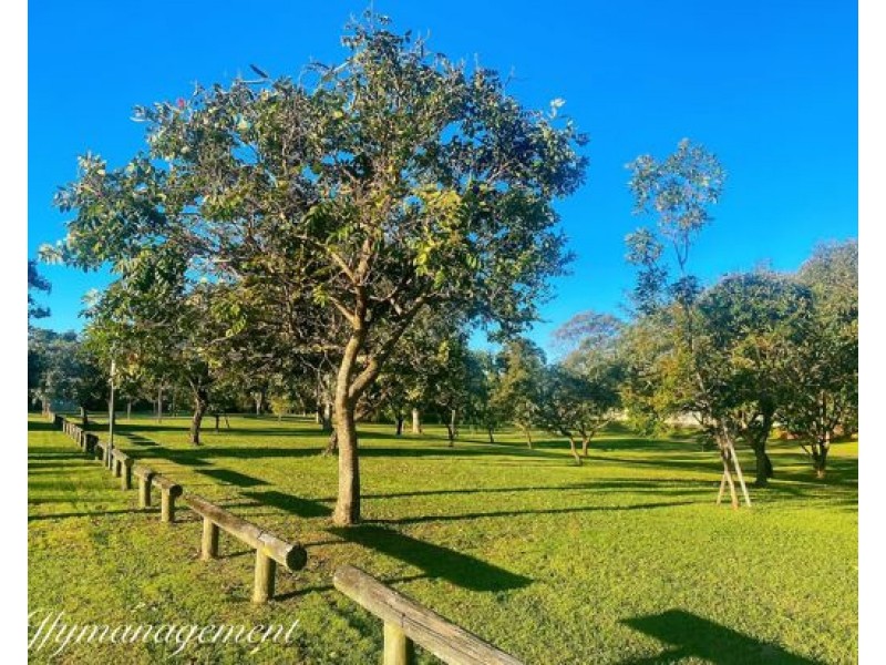 11 Coulter Crescent, Northgate QLD 4013