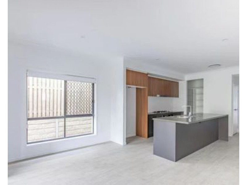 19 Frangipani St, Rochedale QLD 4123