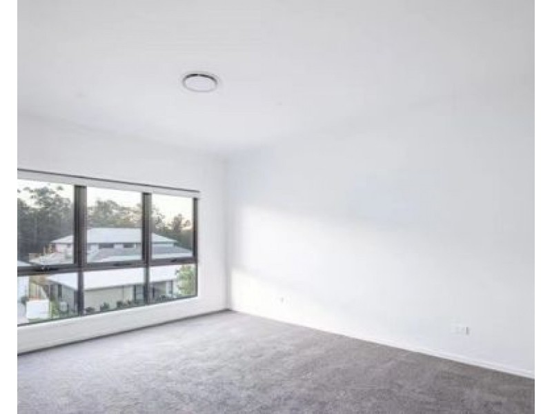 19 Frangipani St, Rochedale QLD 4123