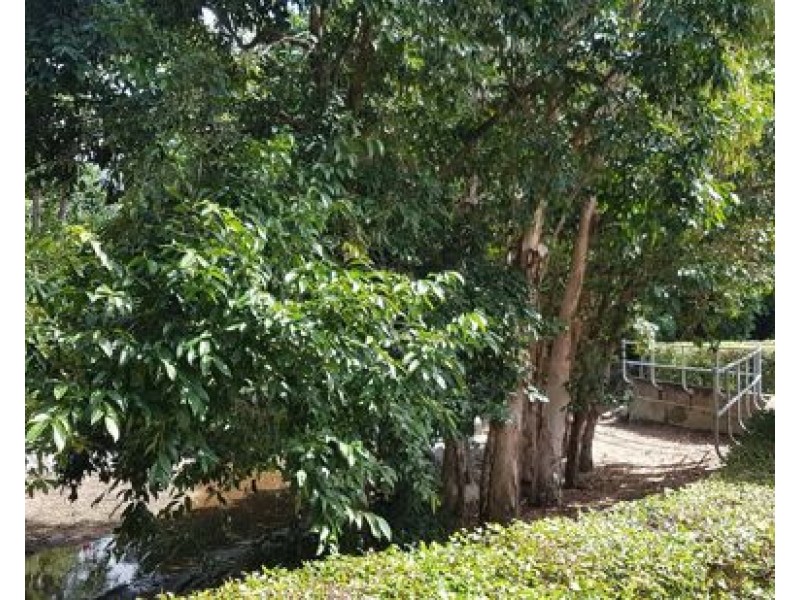 1802 40 Clifton Road, Clifton Beach QLD 4879