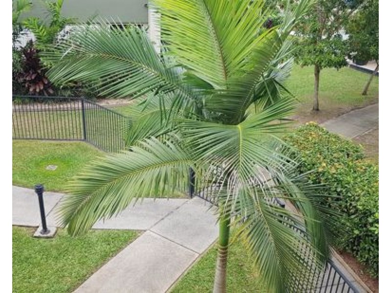 Block 7 40 Clifton Road, Clifton Beach QLD 4879