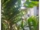 Block 10 40 Clifton Road, Clifton Beach QLD 4879