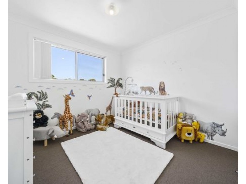 59 Changsha Road, Edmondson Park NSW 2174