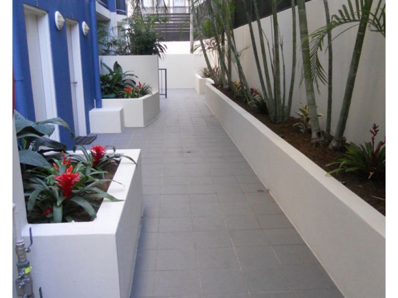 43/451 Gregory Terrace, Spring Hill QLD 4000