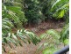 1104 40 Clifton Road, Clifton Beach QLD 4879