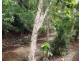 1104 40 Clifton Road, Clifton Beach QLD 4879