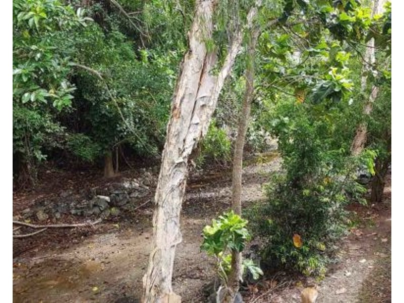 1104 40 Clifton Road, Clifton Beach QLD 4879