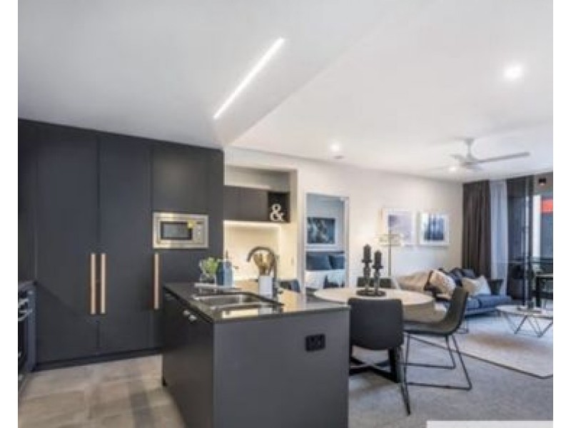 505/17 Gibbon Street, Woolloongabba QLD 4102