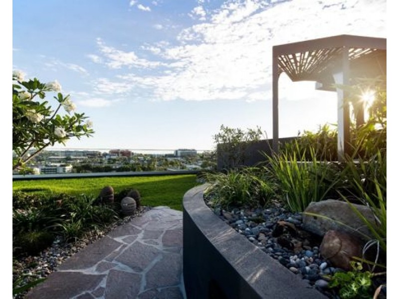 505/17 Gibbon Street, Woolloongabba QLD 4102