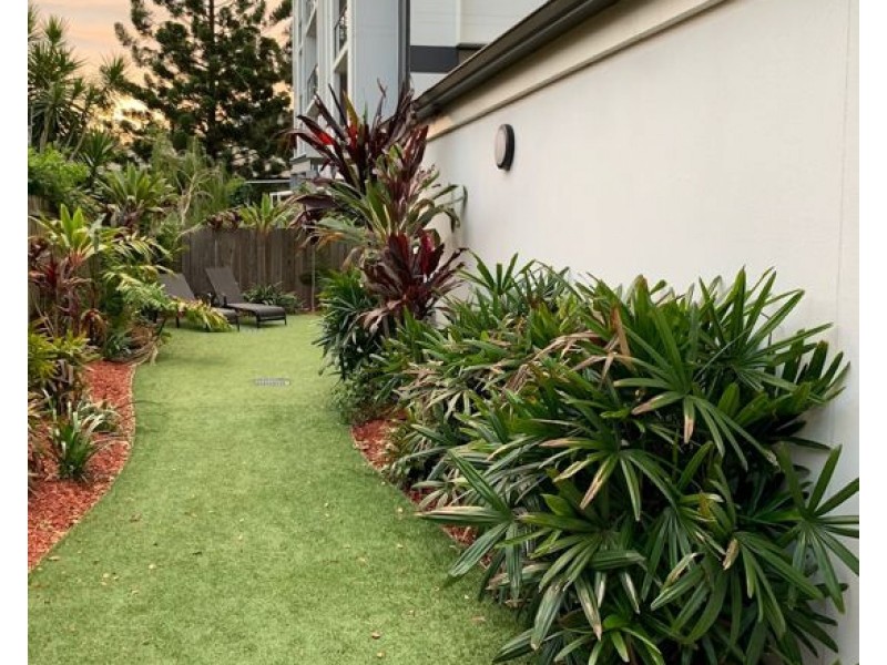 1 21 Mayhew Street, Sherwood QLD 4075
