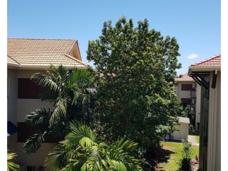 509 40 Clifton Road, Clifton Beach QLD 4879