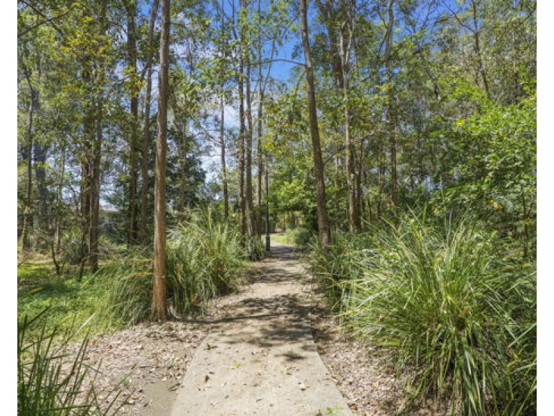 37 Landseer Street, Sunnybank Hills QLD 4109