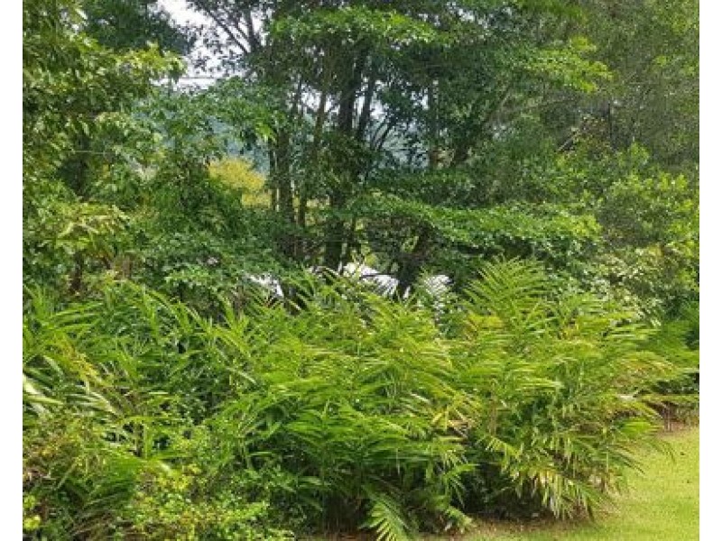 174 Hillview Crescent, Whitfield QLD 4870
