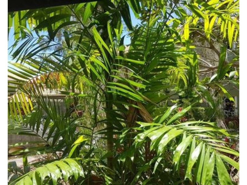 1301 40 Clifton Road, Clifton Beach QLD 4879