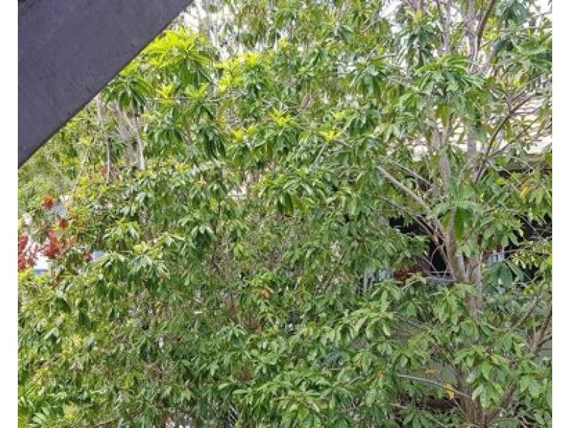 Block 4 top 40 Clifton Road, Clifton Beach QLD 4879