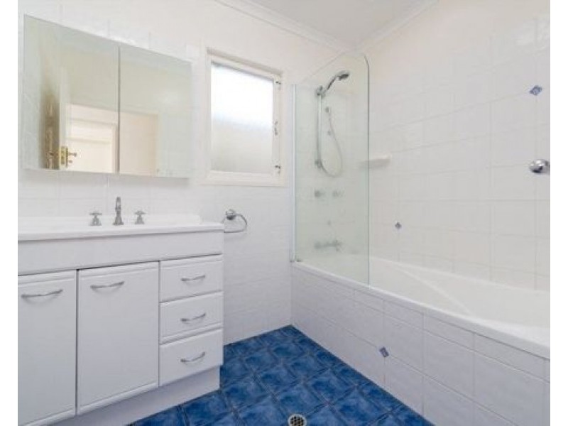 50 Payne St, Indooroopilly QLD 4068