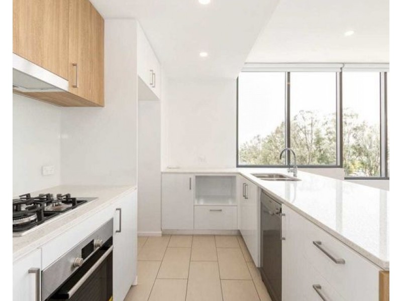 101/48 Lincoln Street, Greenslopes QLD 4120