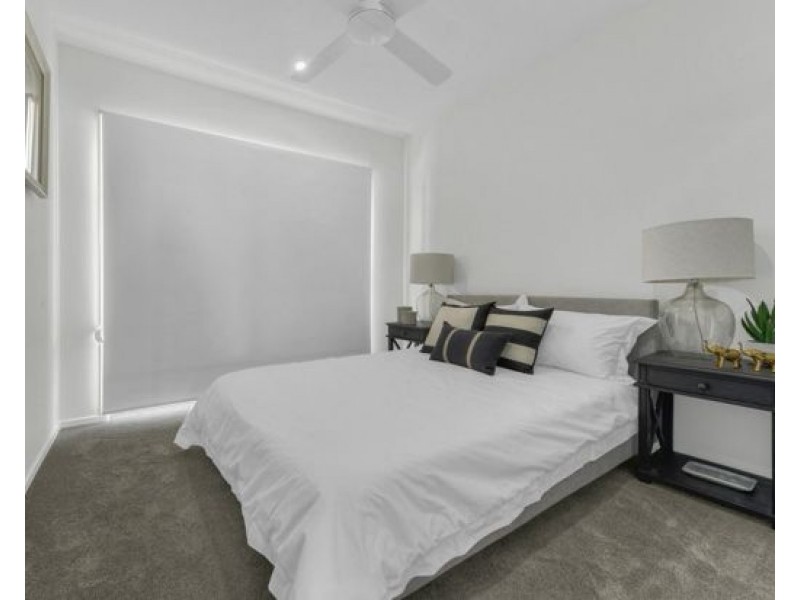 421 Trouts Road, Chermside West QLD 4032