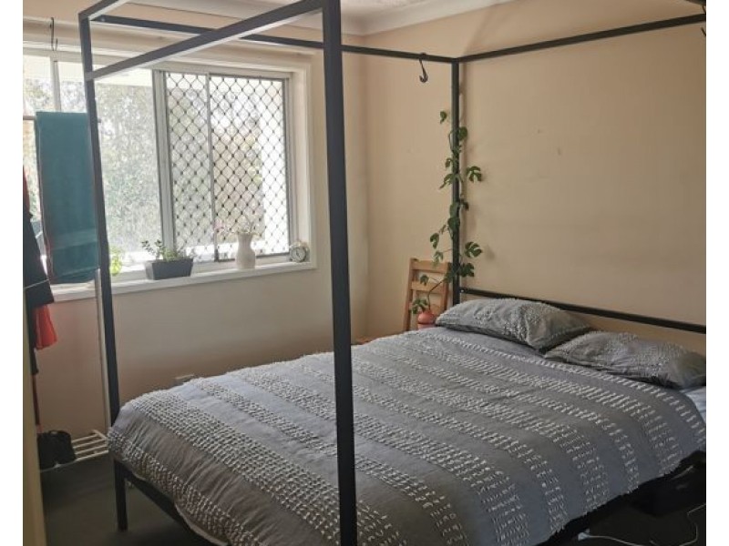 16 Sykes Court, Southport QLD 4215