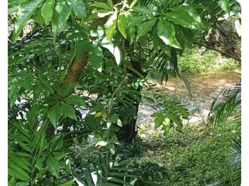 Unit 237 2-8 Rigg St, Woree QLD 4868