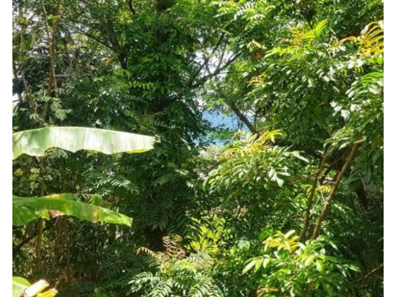 Unit 237 2-8 Rigg St, Woree QLD 4868