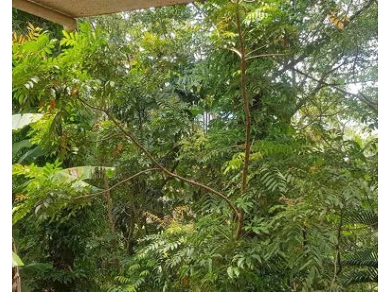 Unit 237 2-8 Rigg St, Woree QLD 4868