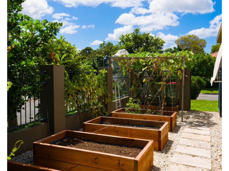 84 NARDOO STREET, Robina QLD 4226