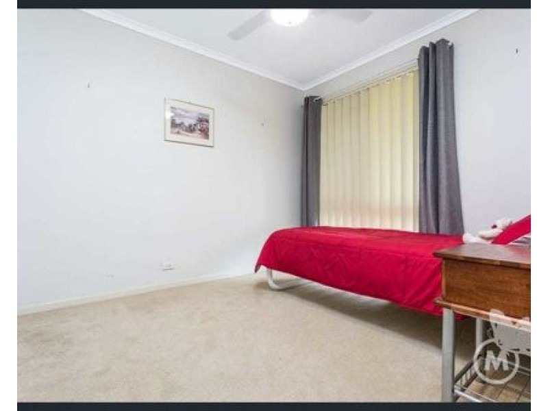 17 Ponti St, Mcdowall QLD 4053