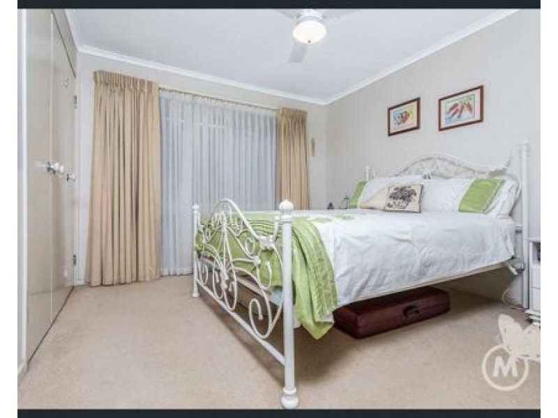 17 Ponti St, Mcdowall QLD 4053