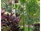501 40 Clifton Road, Clifton Beach QLD 4879