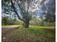 493-509 Beenleigh Redland Bay Road, Carbrook QLD 4130