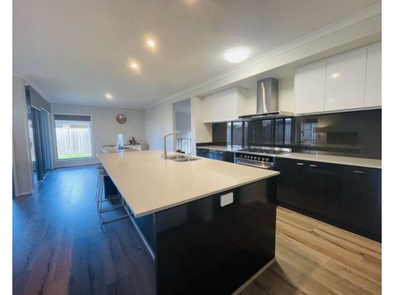 81 Swan Road, Pimpama QLD 4209