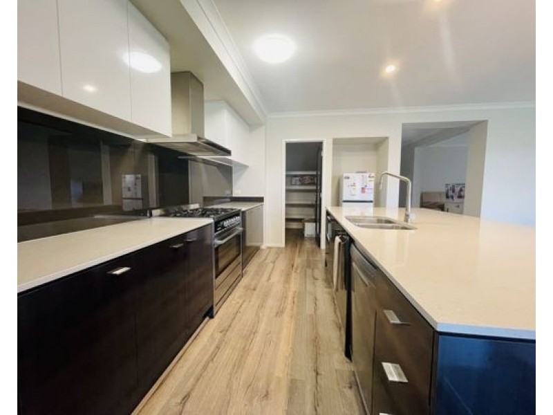 81 Swan Road, Pimpama QLD 4209