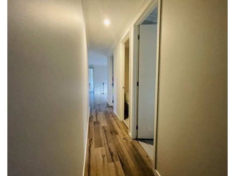 81 Swan Road, Pimpama QLD 4209