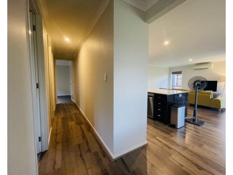 81 Swan Road, Pimpama QLD 4209