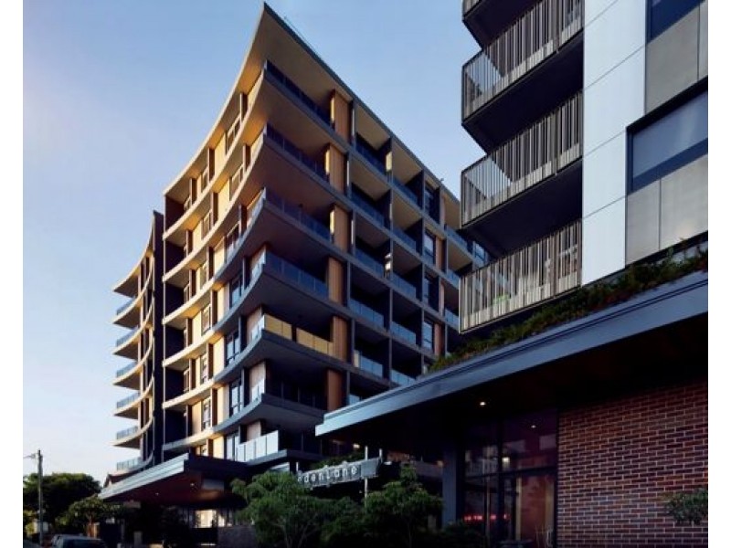 304/17 Gibbon Street, Woolloongabba QLD 4102